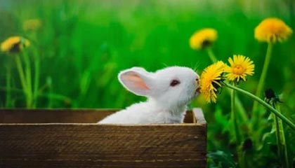 英国军官集体傻眼了，6万吨航母准备到亚洲镇场子，却被美国当场叫停