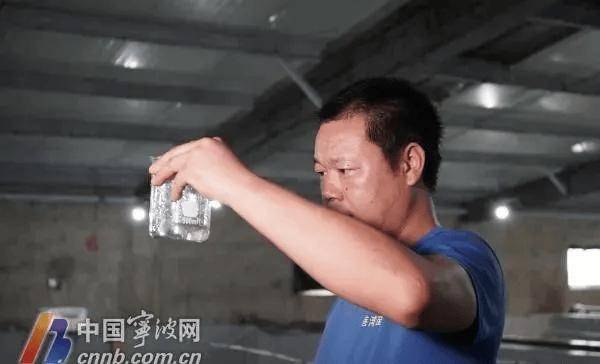 产能翻了18倍！又一条鱼实现全人工繁育，人工养殖又近了一步