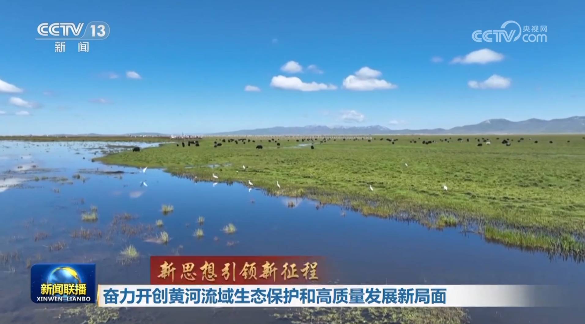 【新思想引领新征程】奋力开创黄河流域生态保护和高质量发展新局面