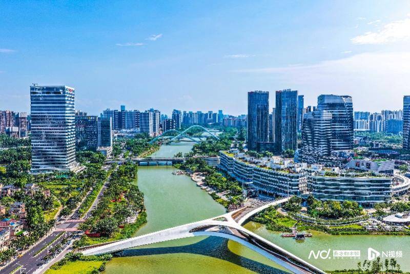 人口净增长超11万，青年人为什么选择南沙？