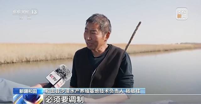 沙漠边缘养螃蟹 新疆如何做到“海鲜”大丰收?