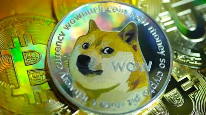 狗狗币能做啥用(狗狗币能赚到钱吗)