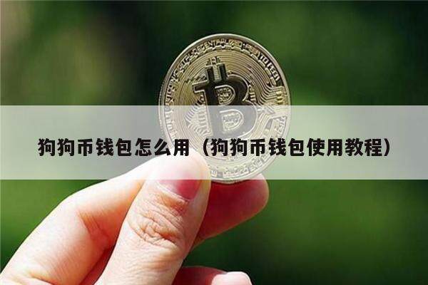 狗狗币钱包为什么那么大(狗狗币钱包110版本里的币不见了)