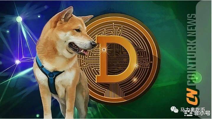 狗狗币为啥用柴犬(柴犬币和狗狗币哪个有投资价值)