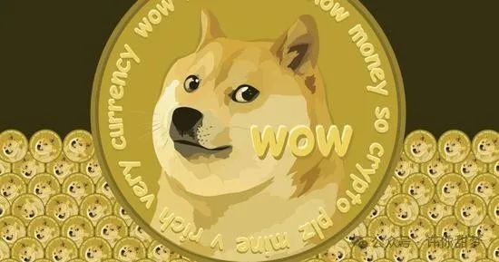 怎么寻找自己以前的狗狗币(到哪个平台找以前买的狗狗币)