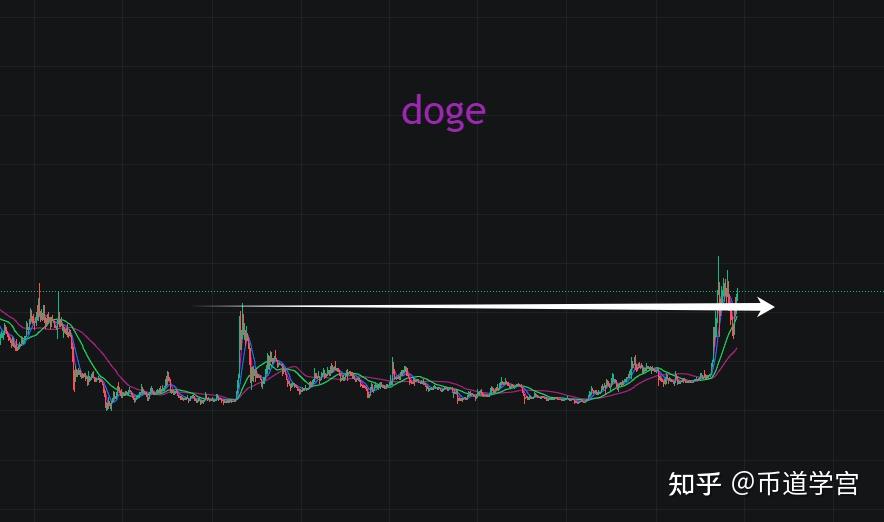 狗狗币后面的永续是啥意思(狗狗币2025年预测什么价格)