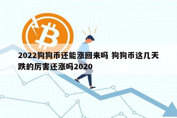 狗狗币最高涨到过多少钱(狗狗币最高涨到过多少钱一枚人民币)