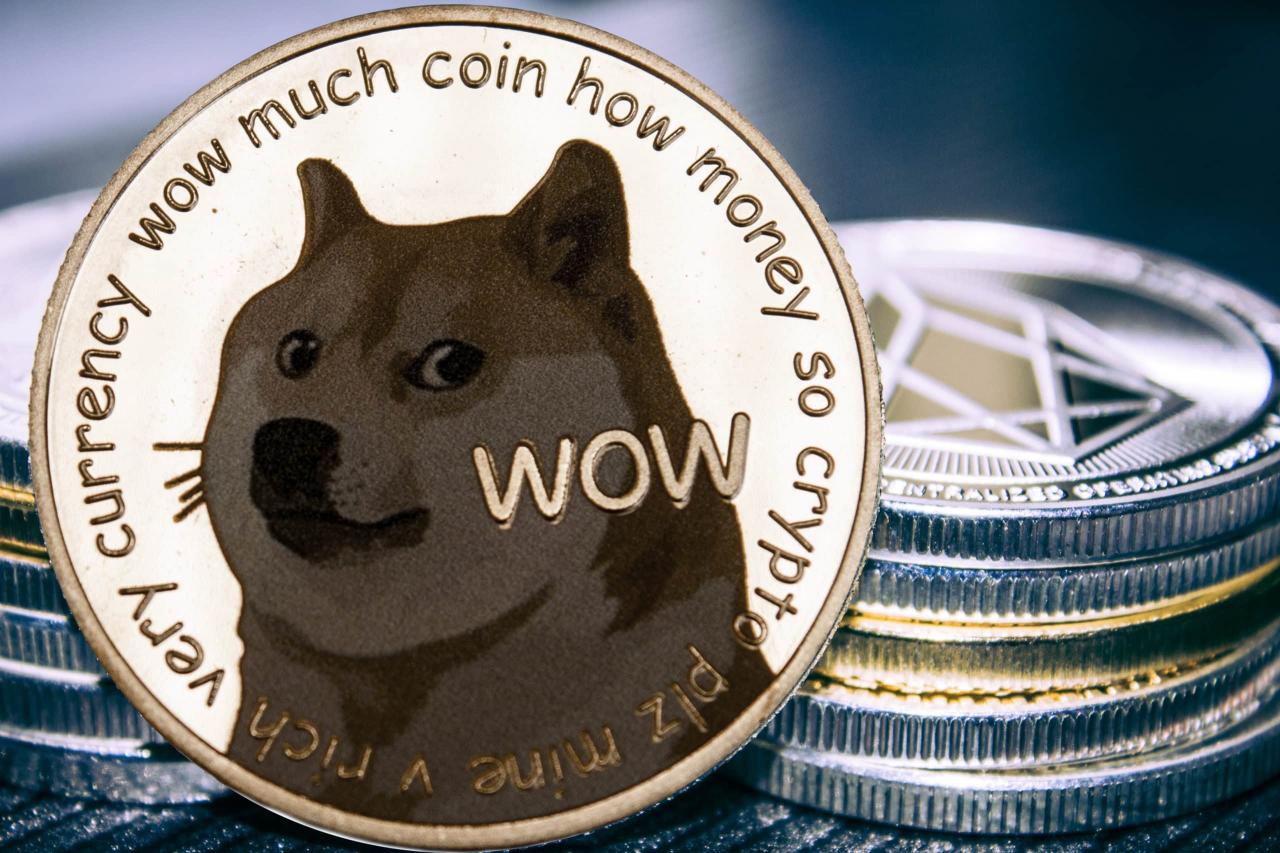 狗狗币和柴犬币哪个更有未来(柴犬币和狗狗币哪个有投资价值)