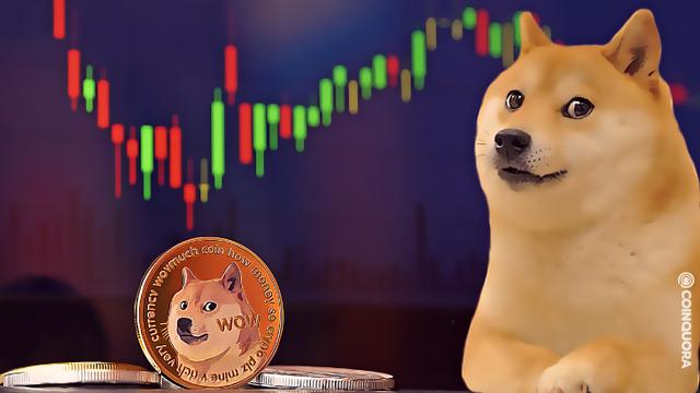 狗狗币一共有多少种类(狗狗币总共有多少枚)