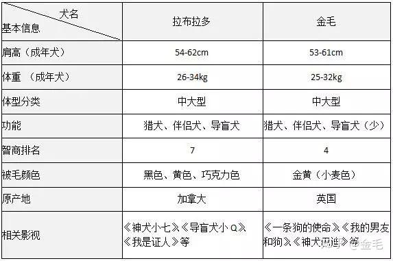 泰达币和狗狗币的区别(泰达币和狗狗币的区别是什么)