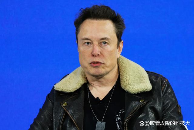 狗狗币最大持有者还是马斯克(狗狗币持币第一是谁)