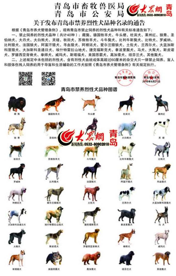包含狗狗币大狗二狗三狗分别是什么的词条