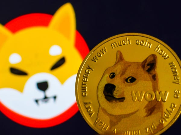 狗狗币轻钱包(狗狗币钱包交易费)