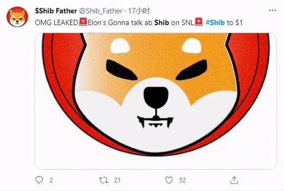 狗狗币风险英语(狗狗吐白沫能自己好吗)