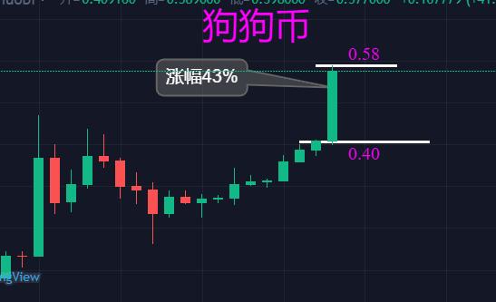 哪里可以看狗狗币当日成交量(狗狗币行情在哪看)
