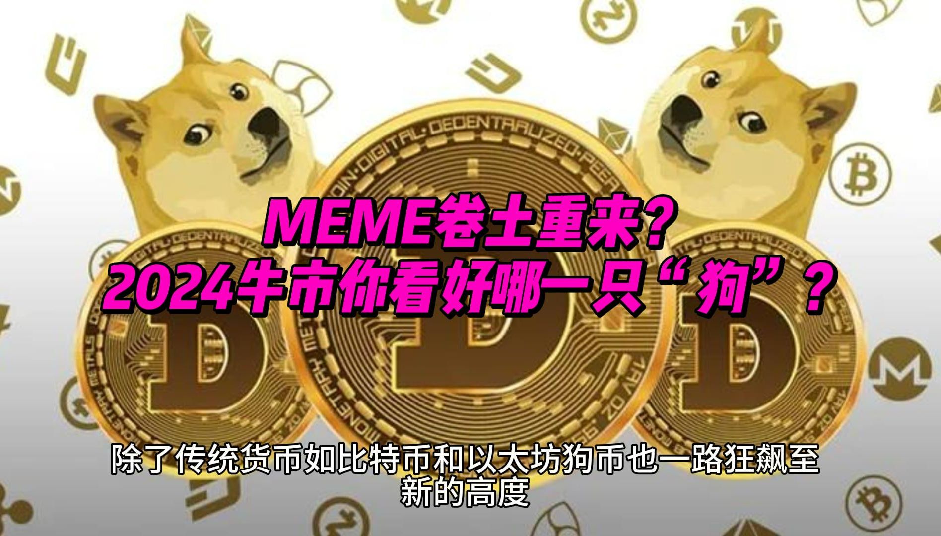狗狗币价格在哪看(2024年狗币能涨到多少钱)