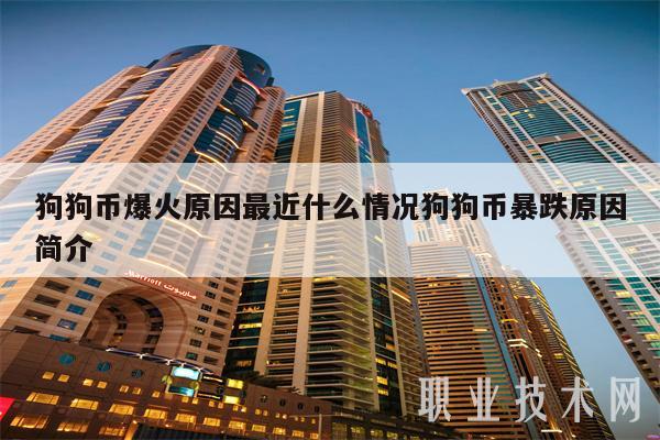 狗狗币5月份暴涨(狗狗币5月份是涨是跌)