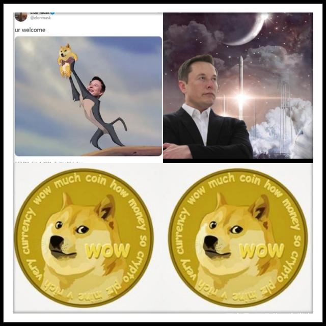 这两天狗狗币有些跌价了(狗狗币这几天跌的厉害还涨吗2020)