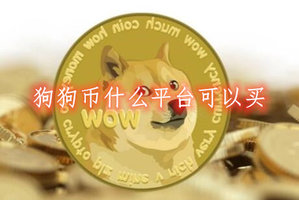 在那能买狗狗币(哪里可以购买狗狗币)