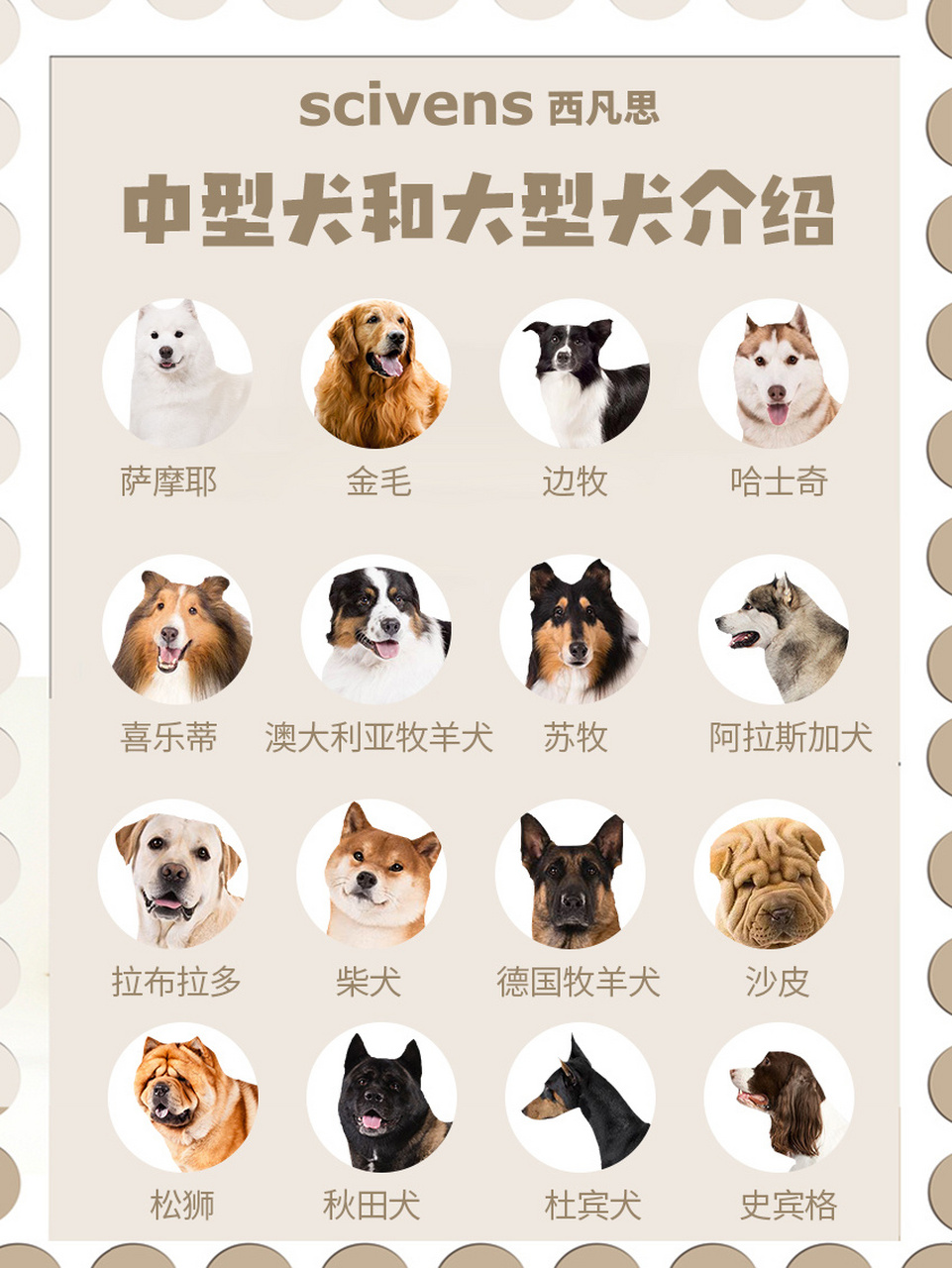一个狗狗币等于多少哈希值(2021狗币1个等于多少人民币)