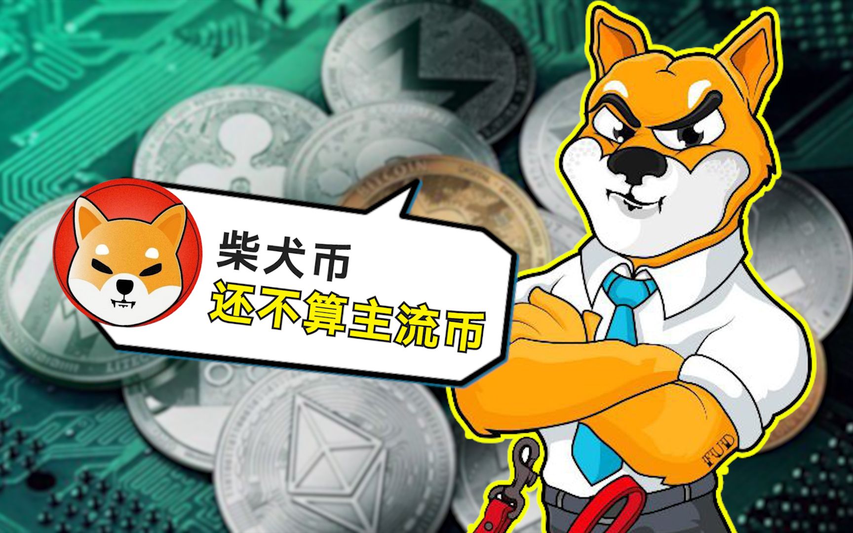 狗狗币创始人永不进币圈(狗狗币创始人卖了多少狗狗币)