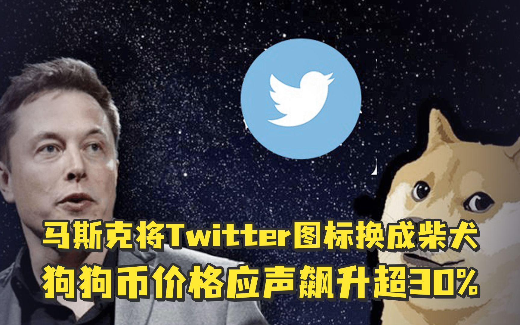关于twitter狗狗币打赏的信息