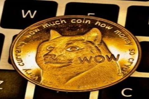 狗狗币放手机钱包(狗狗币放钱包里面什么拿出来卖)