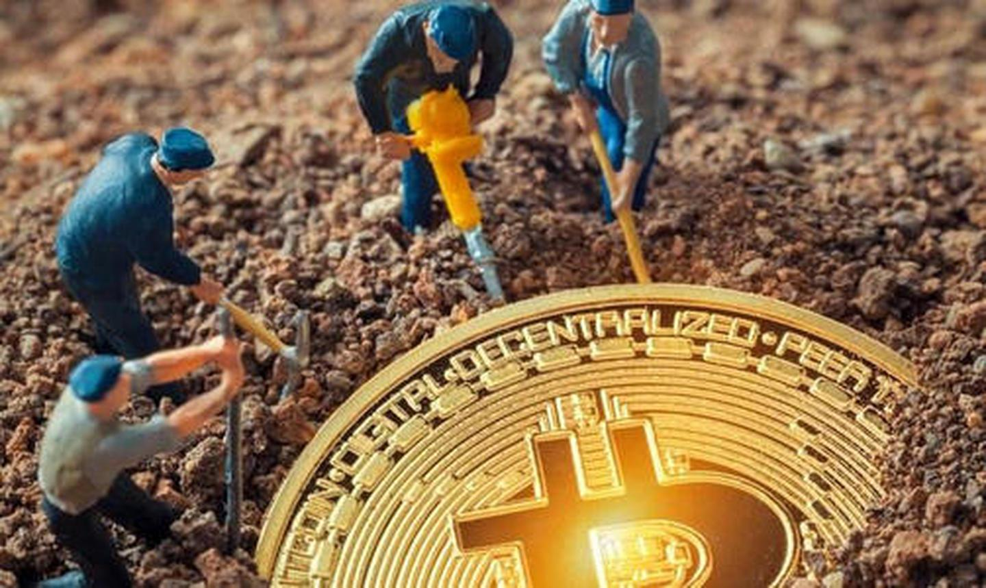 狗狗币cpu一天能挖多少(狗狗币一个挖矿成本是多少钱)
