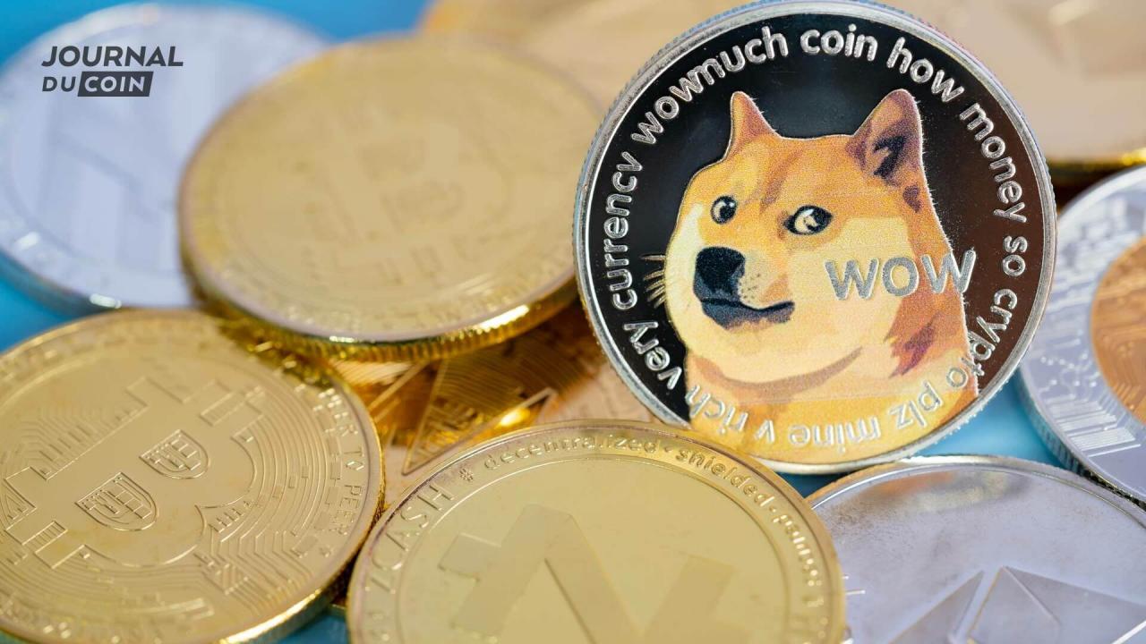狗狗币规划(狗狗币未来前景怎么样)