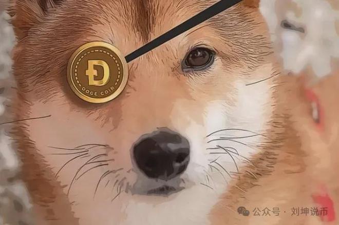 狗狗币狗币(狗狗币是啥玩意)