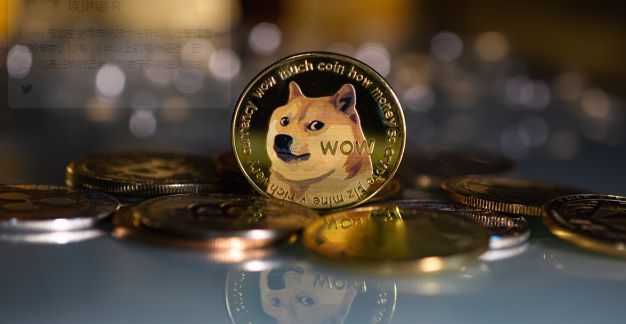 包含dogeking是狗狗币么的词条