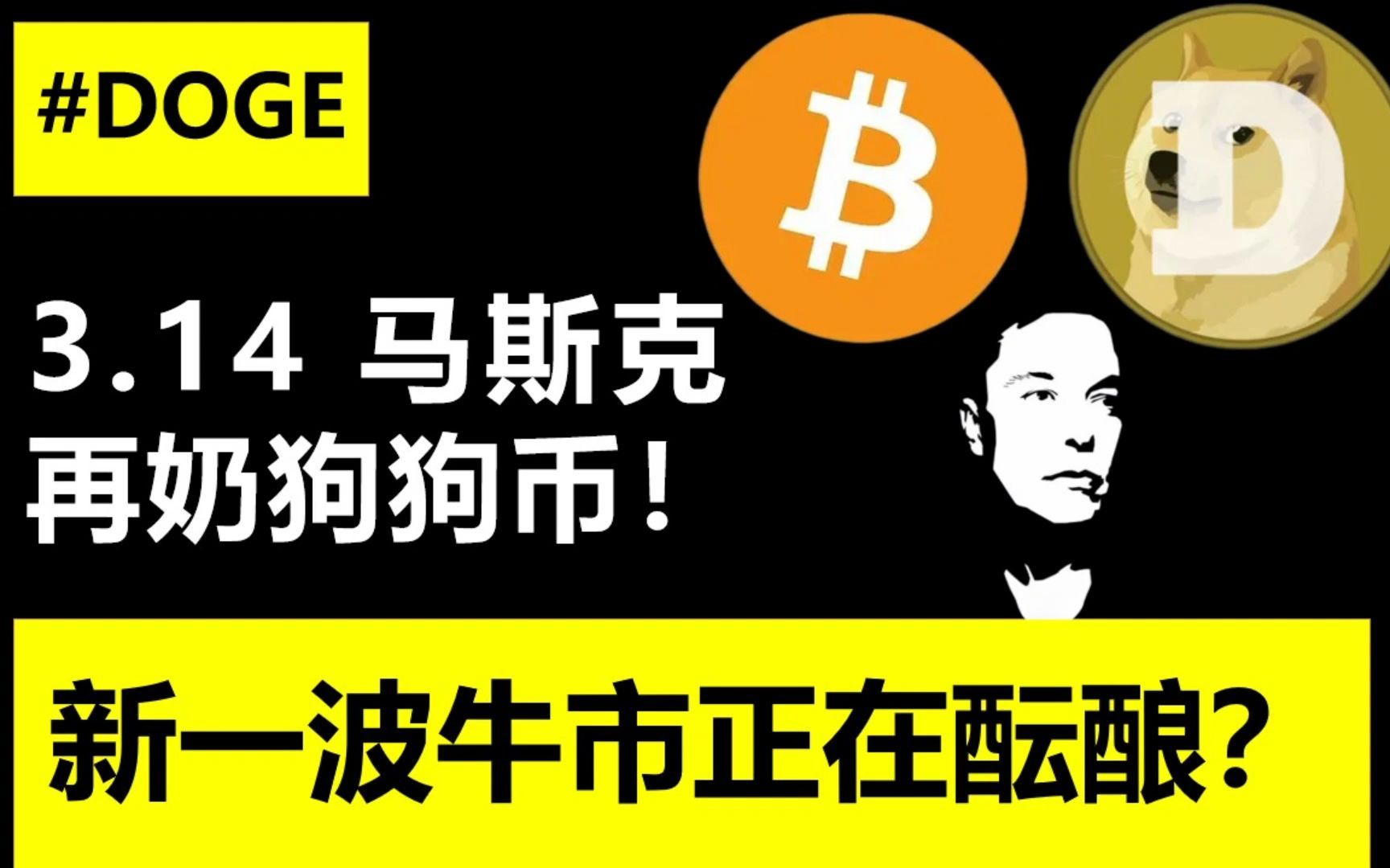 马斯克买了38亿狗狗币(马斯克买了30亿美元狗狗币)