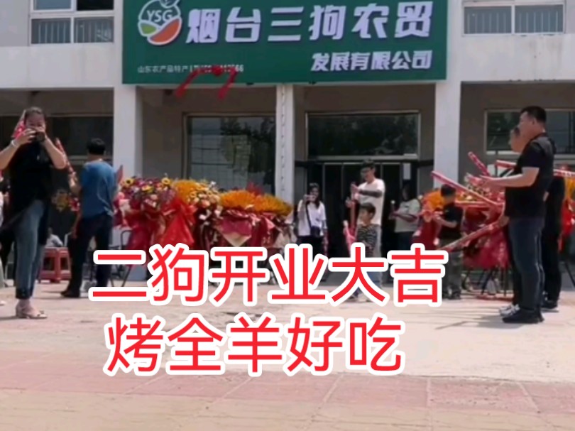 关于狗狗币大狗二狗三狗分别是什么的信息