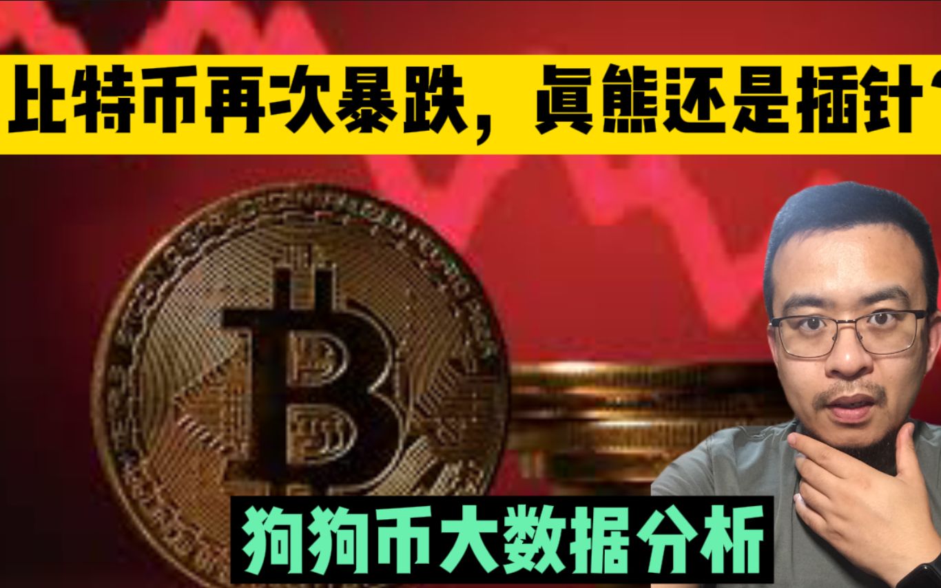狗狗币能涨到比特币价格吗(狗狗币能成为下一个比特币吗)