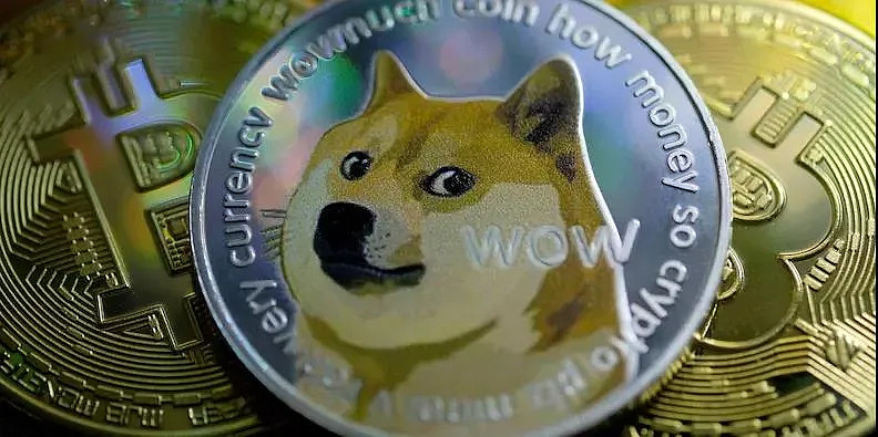 有关狗狗币网名(狗狗币名称)