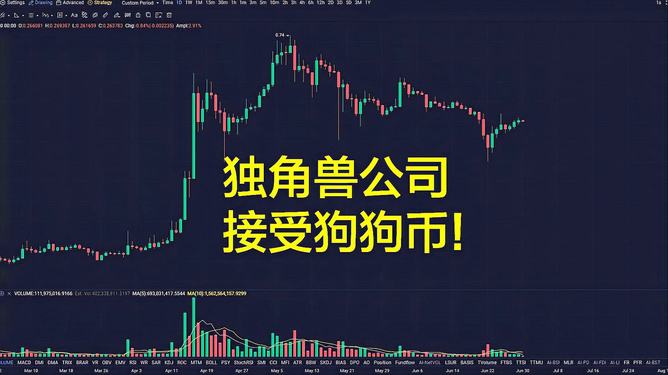 哪个钱包能放狗狗币(哪个钱包可以放狗狗币)