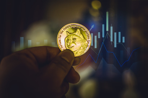 可以放狗狗币的硬钱包(可以放狗狗币的硬钱包有哪些)