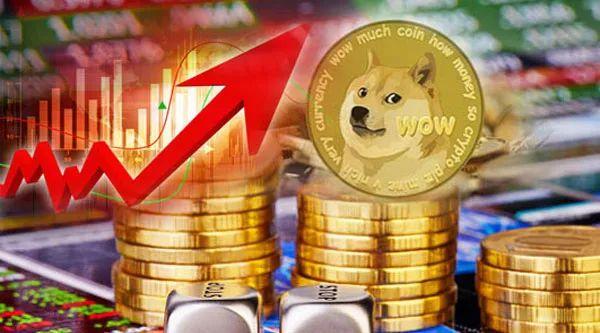 昨天狗狗币为什么涨(狗狗币今天为什么涨上去了)