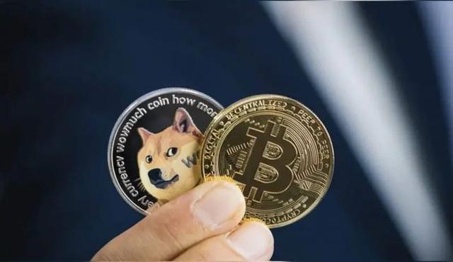 狗狗币狗币(狗狗币是什么鬼)