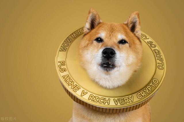狗狗币为啥用柴犬(狗狗币和柴犬币市值)