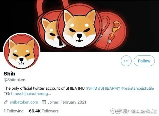 猪猪币狗狗币(猪猪币是山寨币吗)