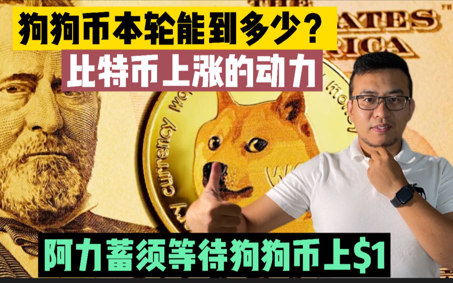 狗狗币最高涨到过多少钱(狗狗币最高价格涨到多少的)