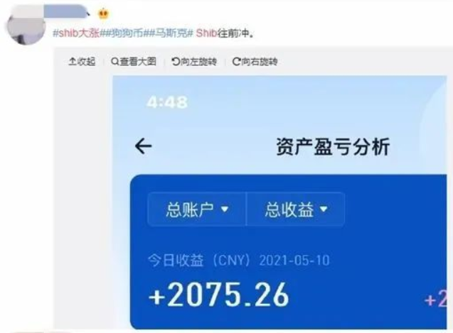现在买狗狗币盈亏(现在买狗狗币盈亏大吗)