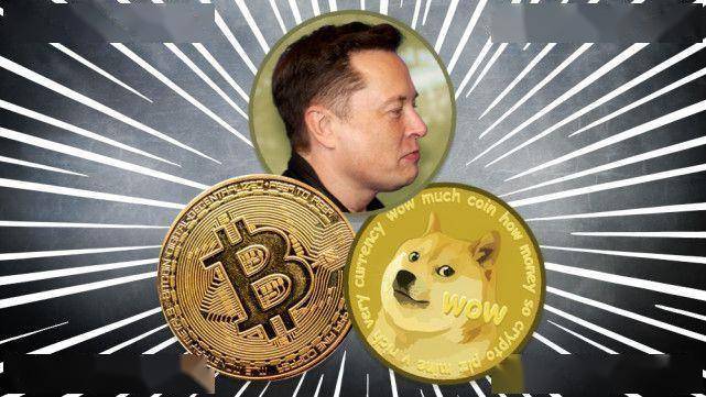 买点狗狗币放着(买的狗狗币放账户里面不动会咋样)