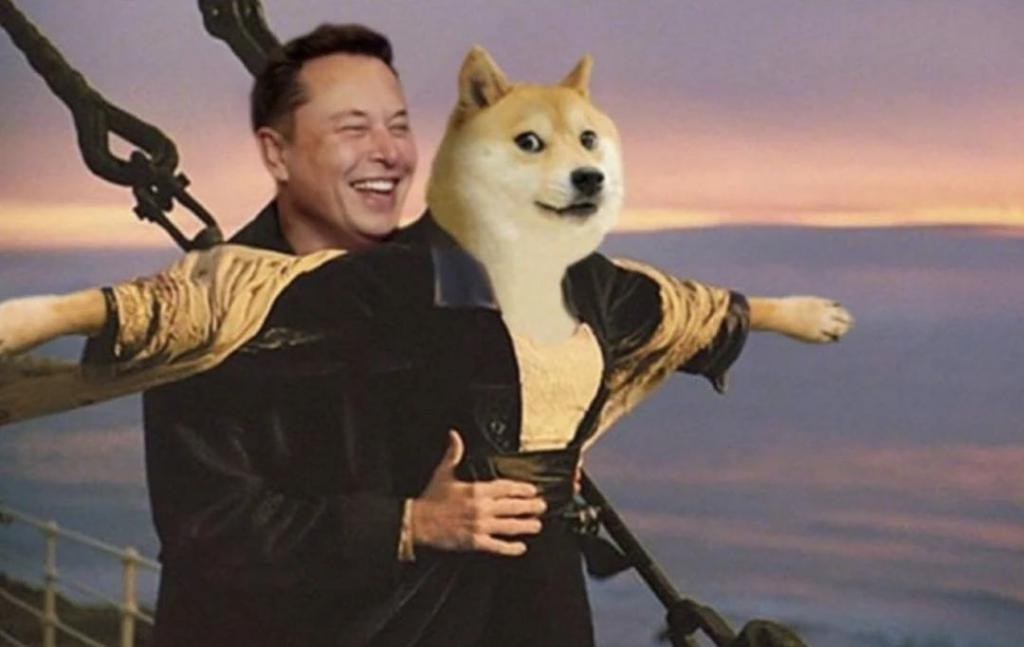 囤1亿万狗狗币(以前5亿狗狗币多少钱)