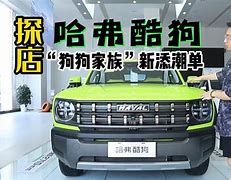 酷狗狗狗币兑换邮费(酷狗音乐狗狗币兑换会员)