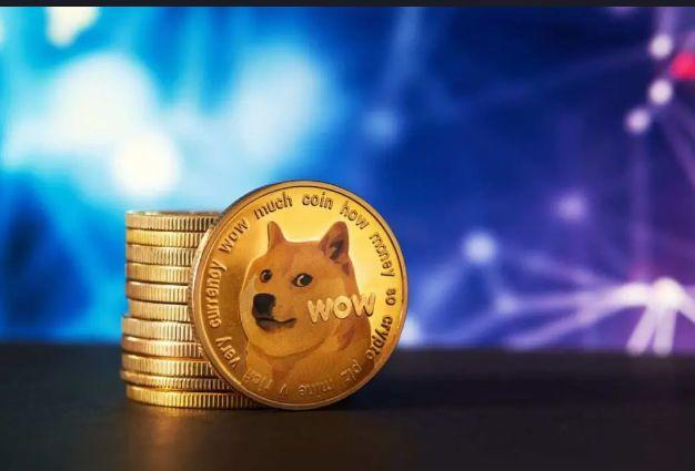 狗狗币2017年价格多少(狗狗币2017年价格多少钱一张)