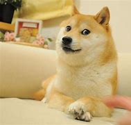 狗狗币如何认购(狗狗币的购买流程)