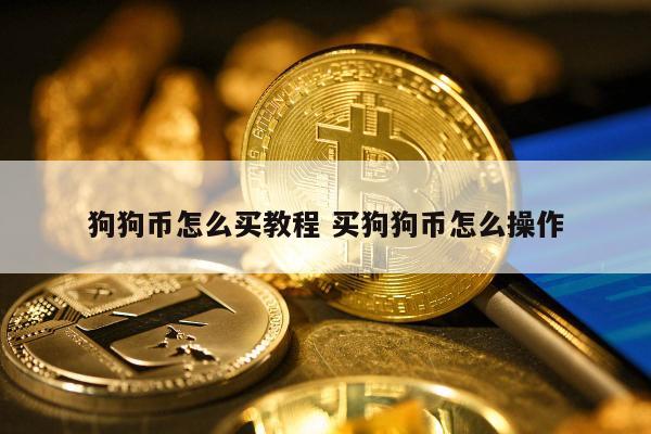 关于狗狗币在那里购买的信息