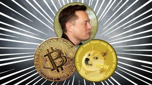 哪个钱包能放狗狗币(能存狗狗币的钱包)